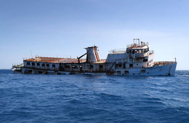 The Atlantic Conservation Partnership (ACP) tweet media