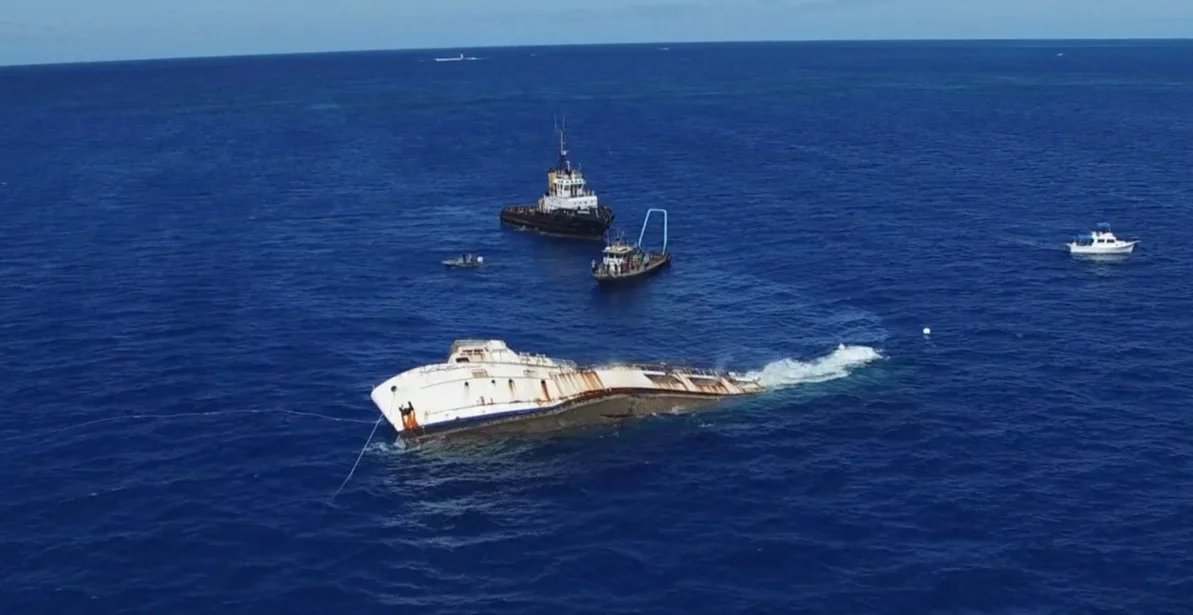 The Atlantic Conservation Partnership (ACP) tweet media