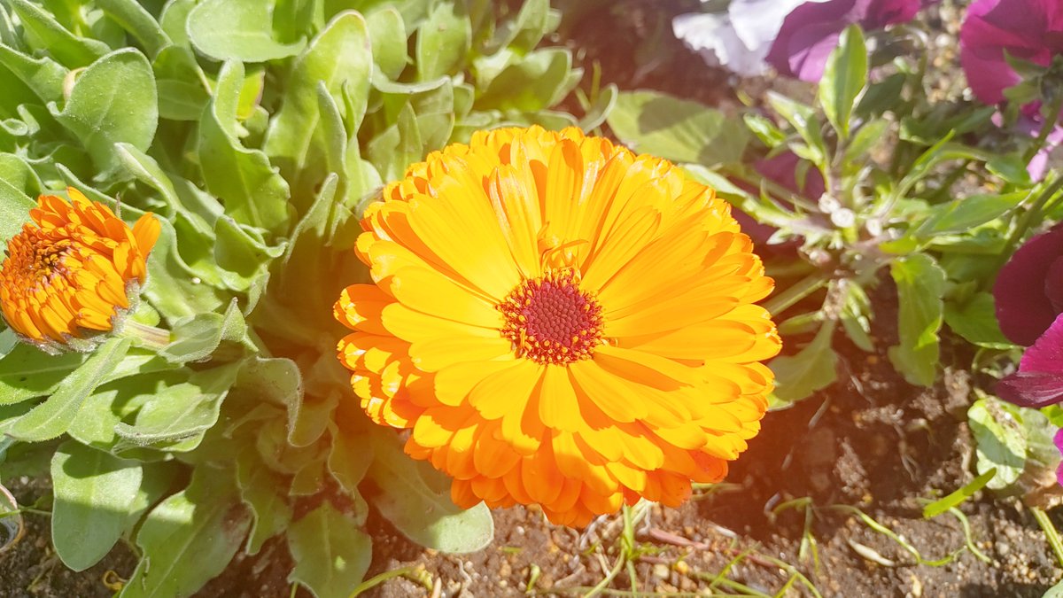 山内洋平 tweet media