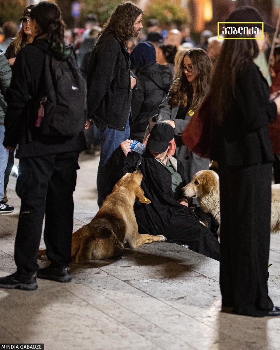 A Little Georgian Warrior🇬🇪🇺🇦🇪🇺 tweet media