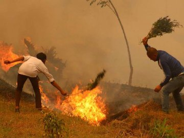 Macosians! tweet media