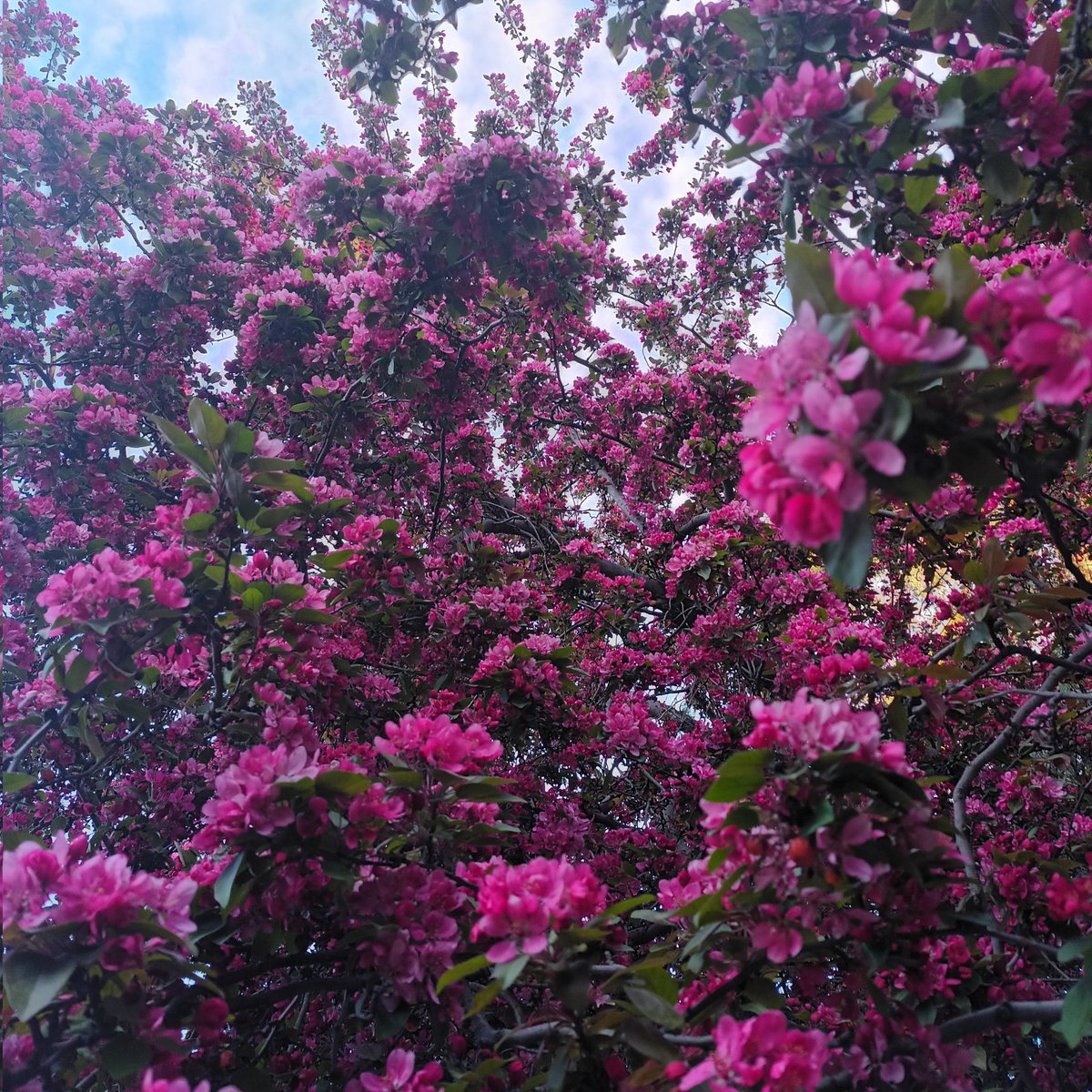 Verónica Calvo tweet media