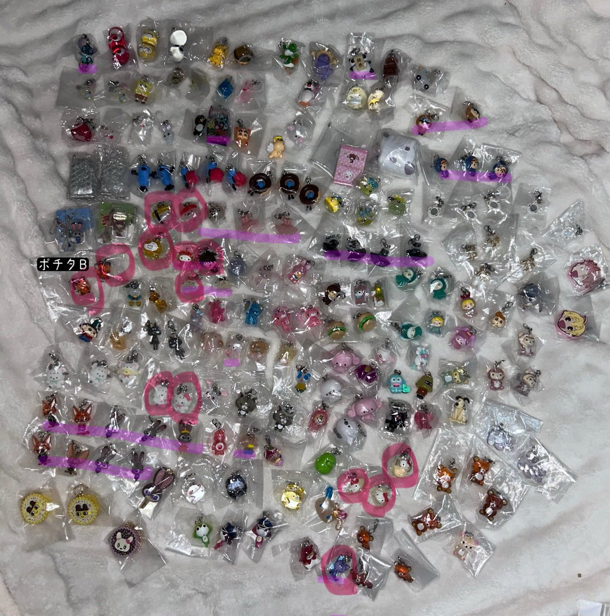 🧸🎀 tweet media