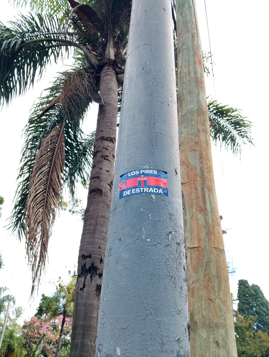 Nico Matador tweet media