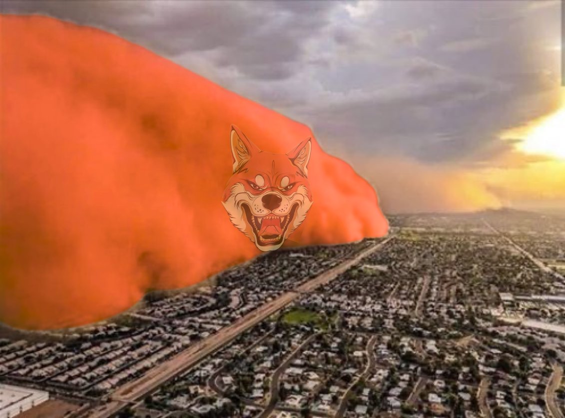 Mac🦊🪖 tweet media