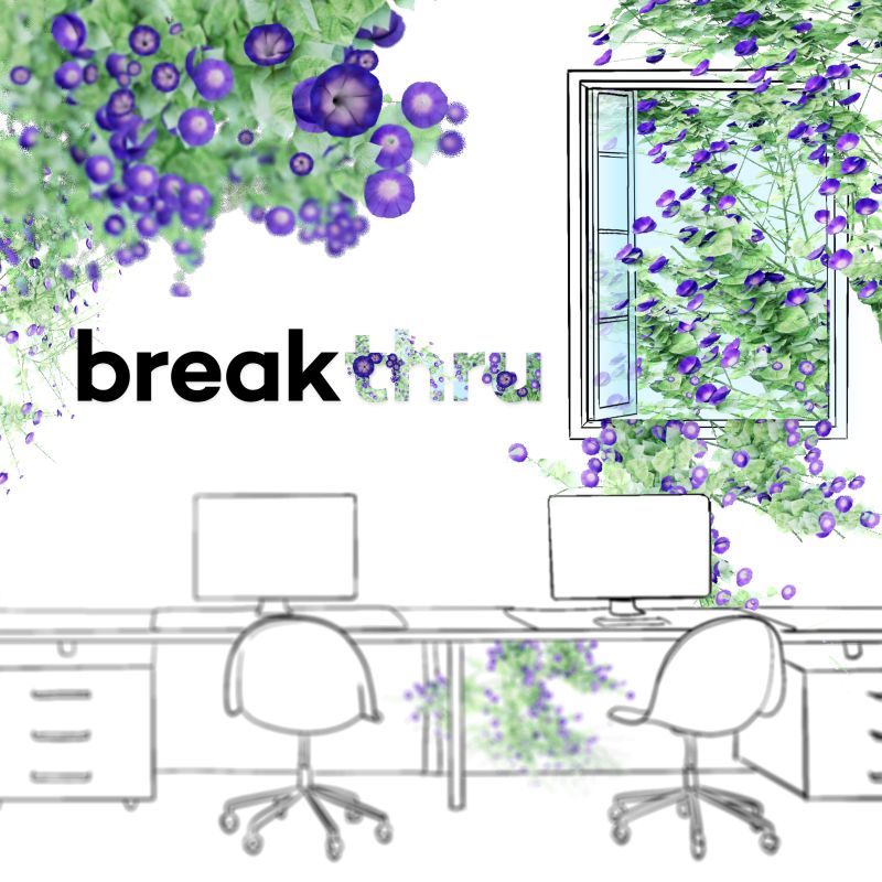 breakthru tweet media