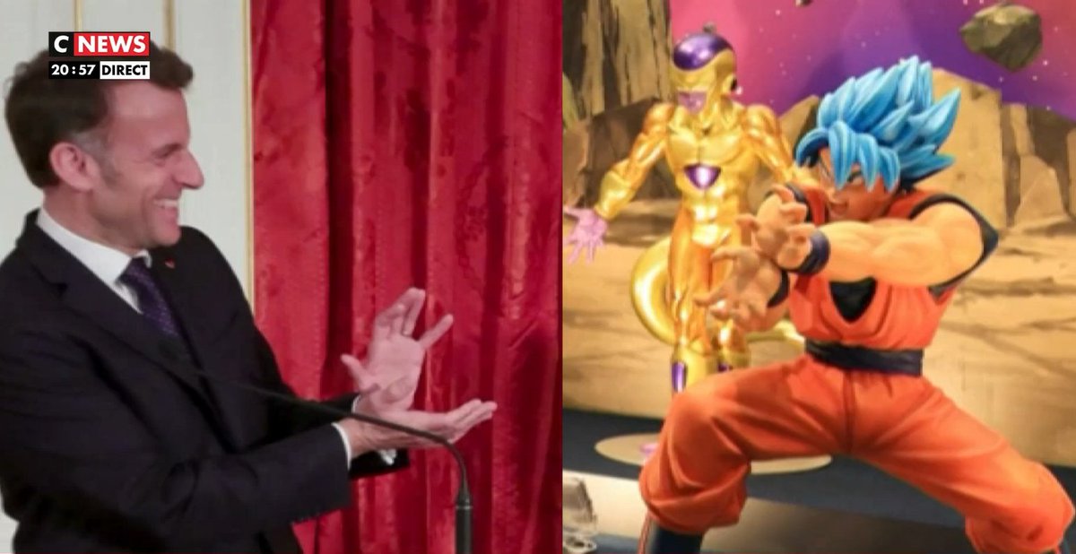 🇫🇷 fred le gaulois 🇫🇷 Uniondesdroites 🐱🐱 tweet media