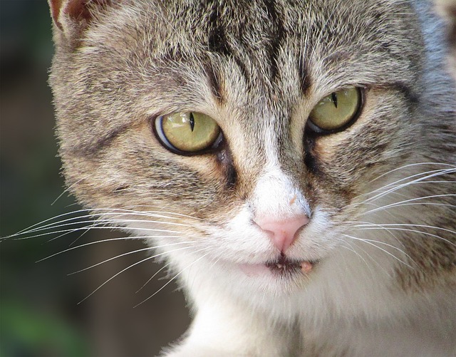 Tiffany Marshall tweet media