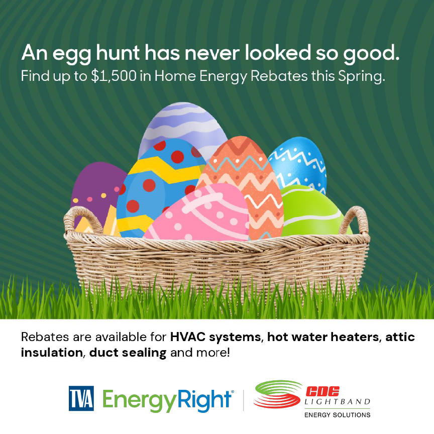 CDE Lightband tweet media