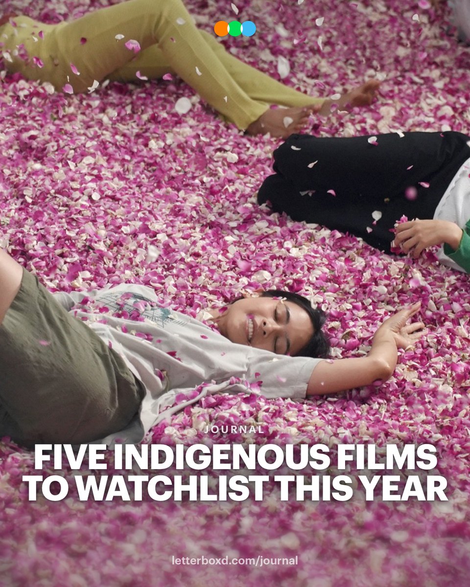 Letterboxd tweet media