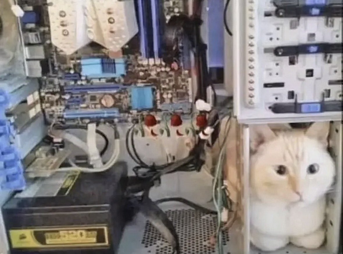 unejamti's tweet image. I just built my #FirstPc🙏‼️‼️ Pls rate it ,dont be too harsh