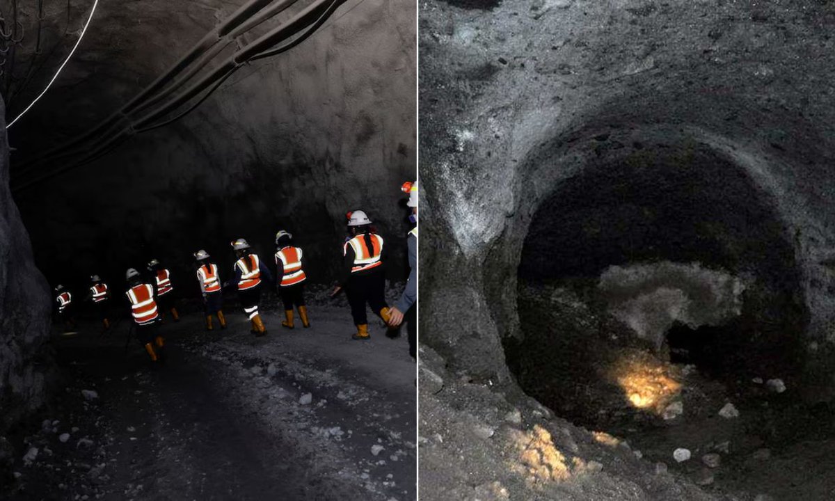 intriper tweet media