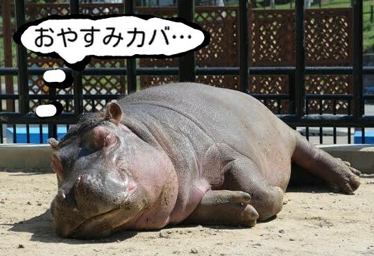 n385's tweet photo. @3pga https://t.co/jCVK3tytTL