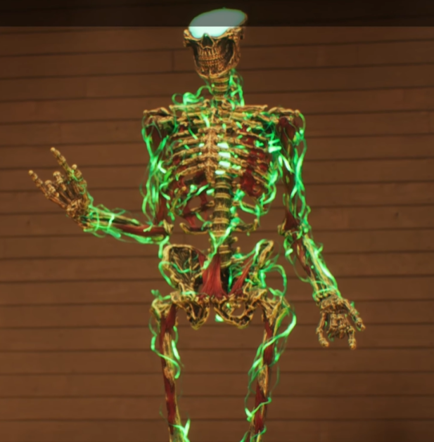 Damon 🃏 tweet media