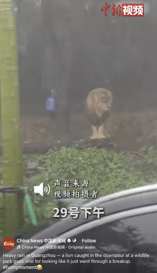 DemonicLoki's tweet photo. Official Chinese news pages are posting about hang hang the Rain Lion.

https://t.co/DjftYzjKz2 https://t.co/BFoRU2Hesd