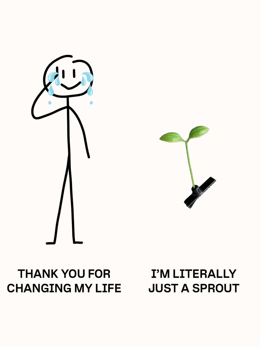 Bonnaroo tweet media