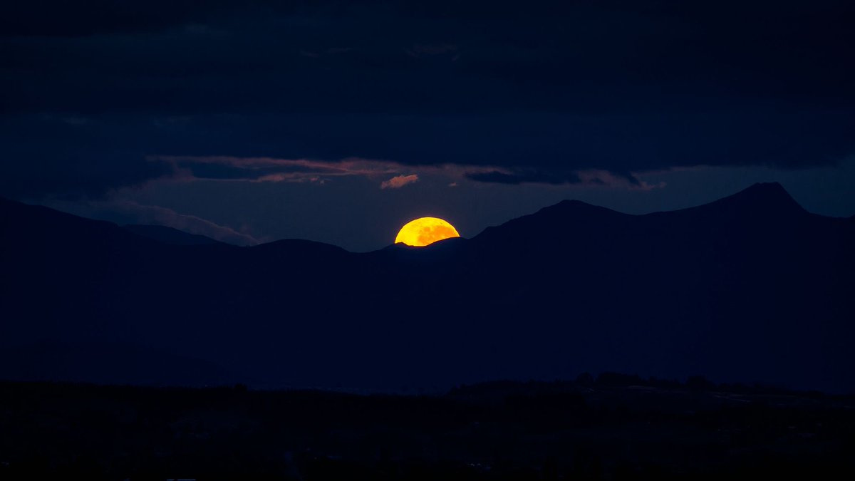 Taproot Witches 🧙‍♀️ tweet media