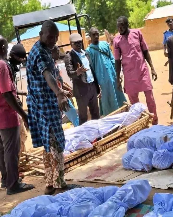 NorthernFacts_ tweet media