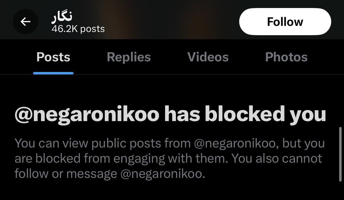 Kermit Forever tweet media