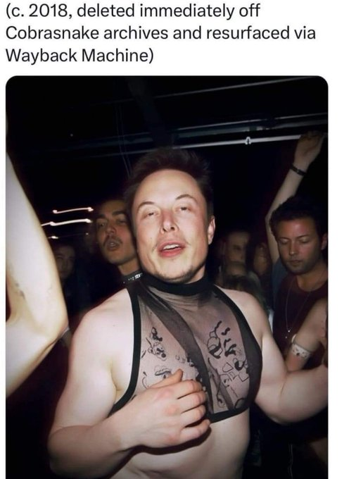 beth gulsby 🇺🇸🌻🇺🇦 🌊 tweet media