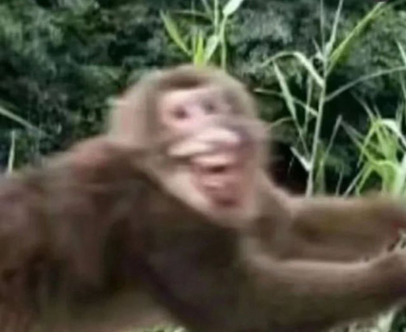 الأسود 👨🏿💪🏿 tweet media