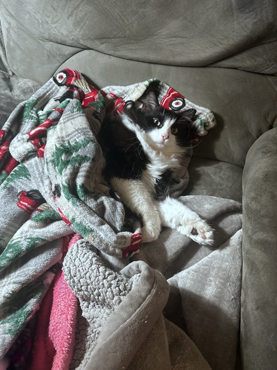 Switching Leads Photography tweet media