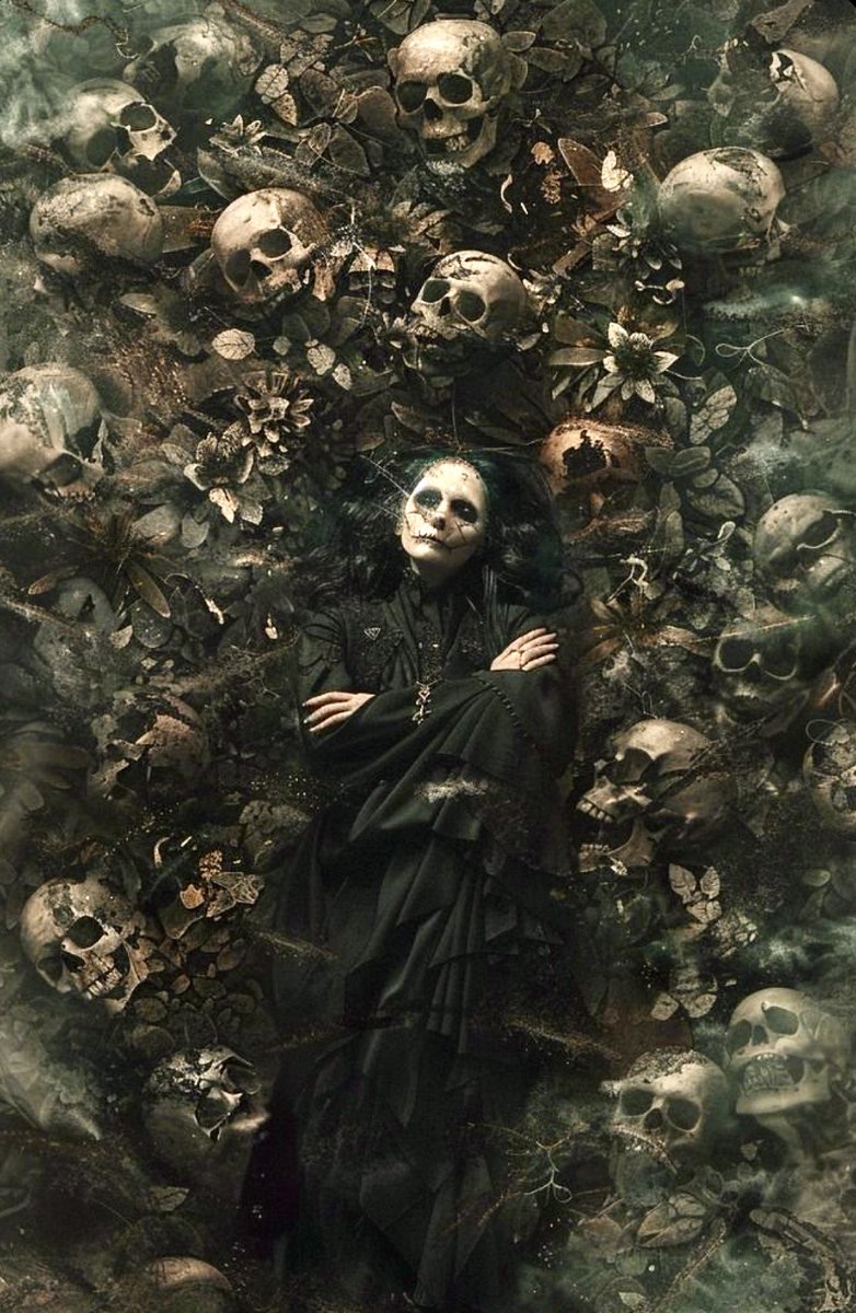 Sidekick tweet media