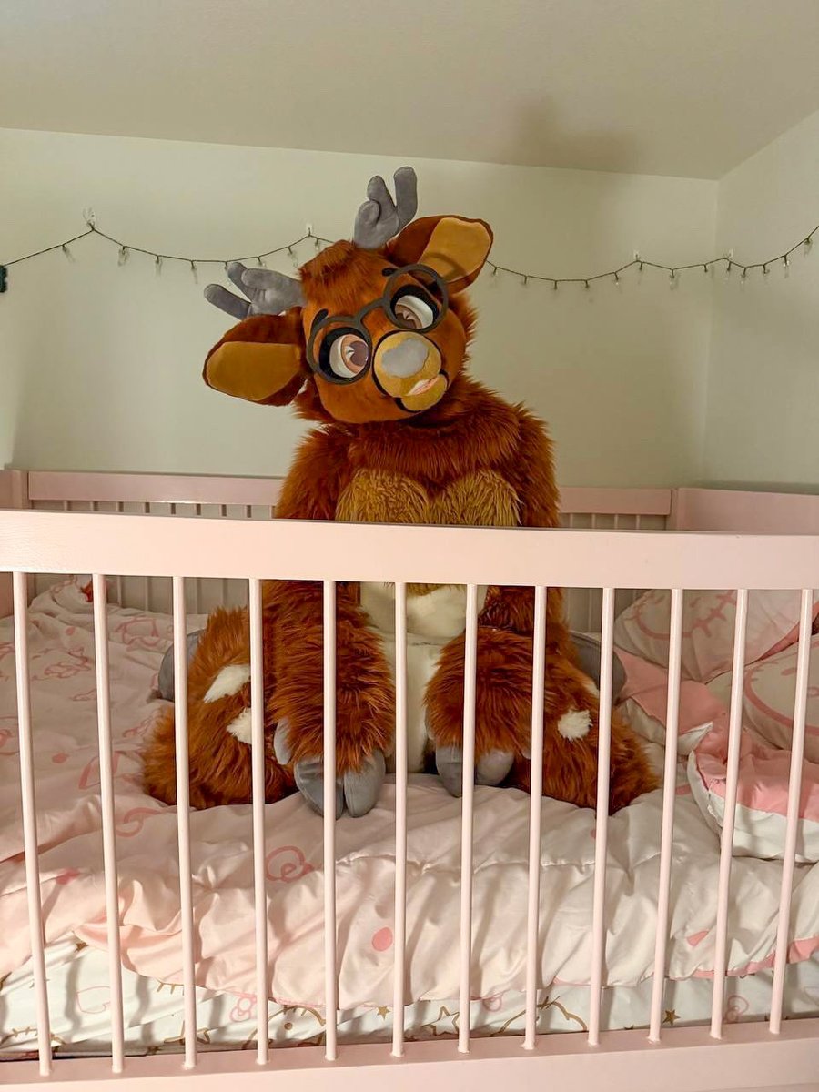 Baxter_deer 🔜 changing table tweet media