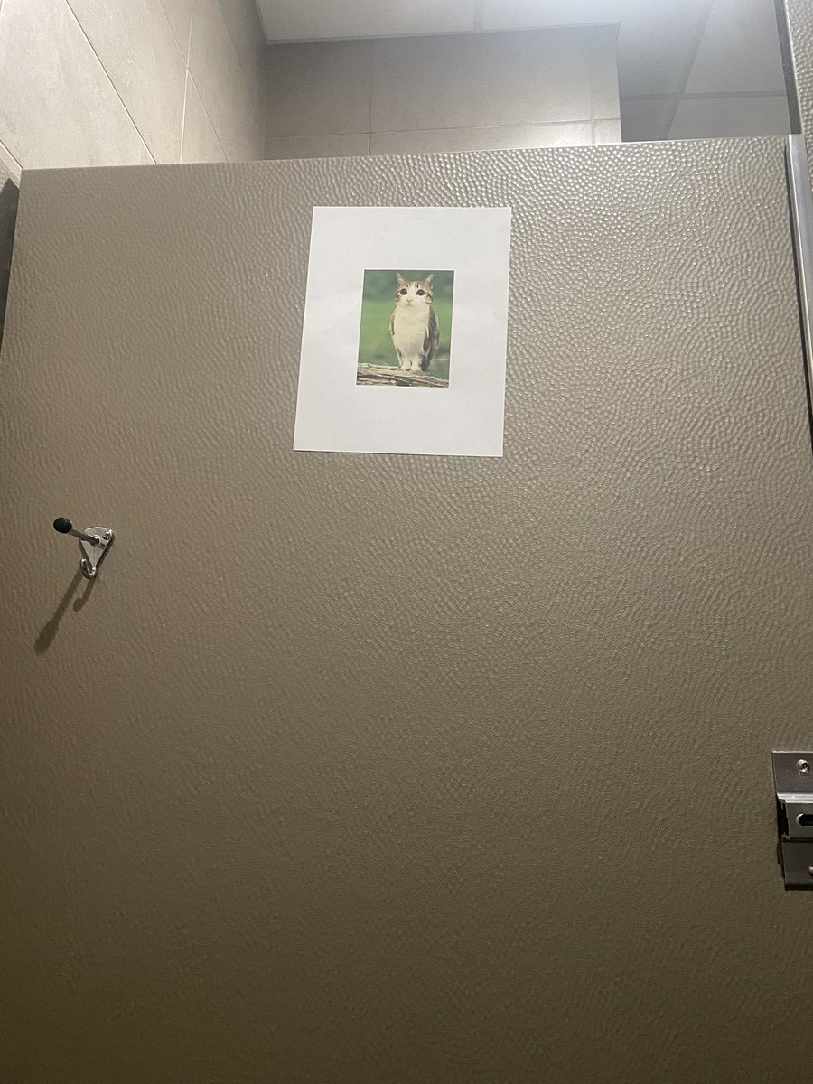 max 🔜 FWA, MP tweet media