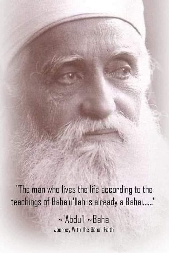 Ryan Daniels tweet media