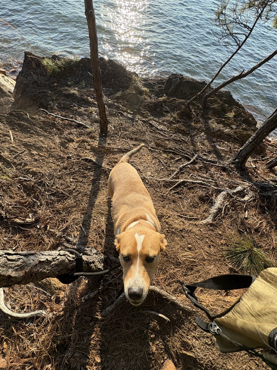 Abruhdamn LinkedIn tweet media