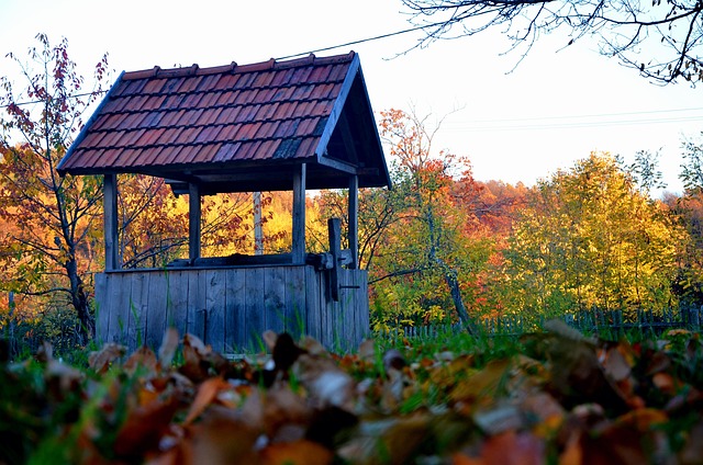 Darius Ali tweet media