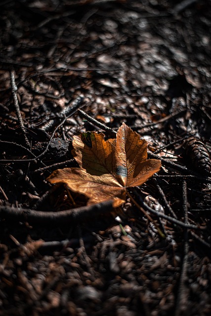 Jack Wallace tweet media