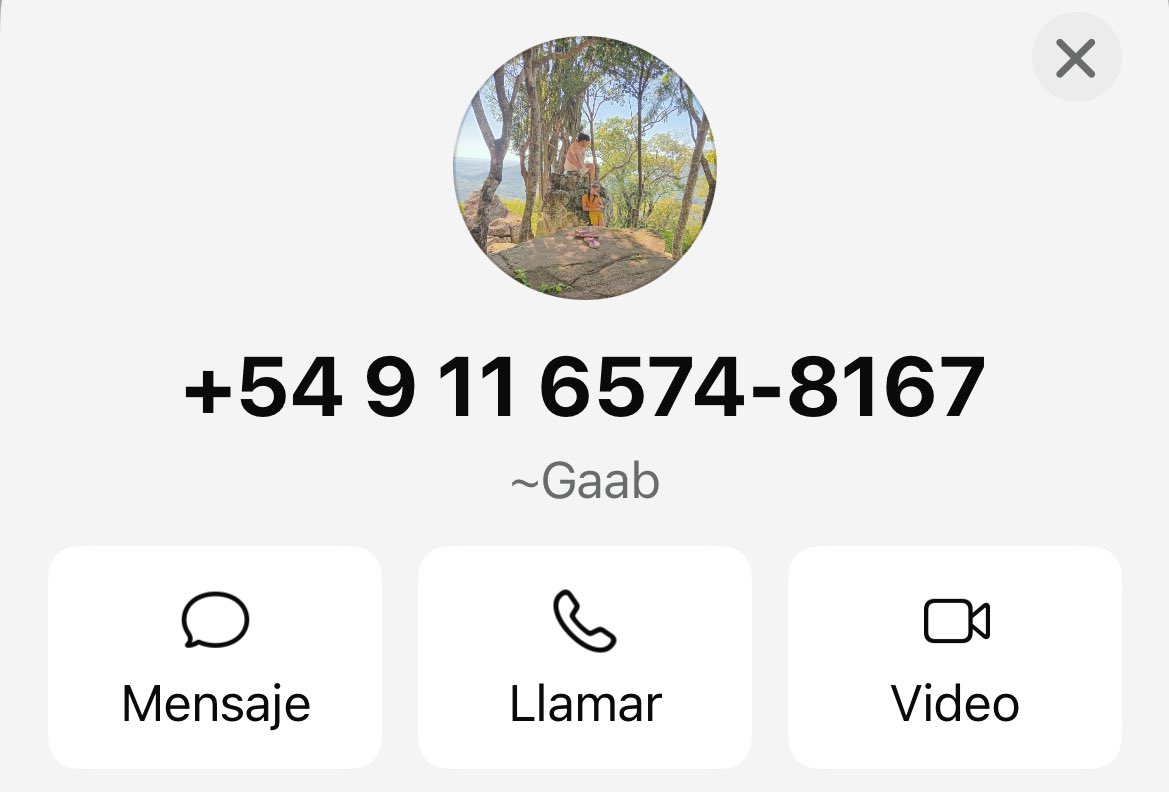 desiree ⛺️ tweet media