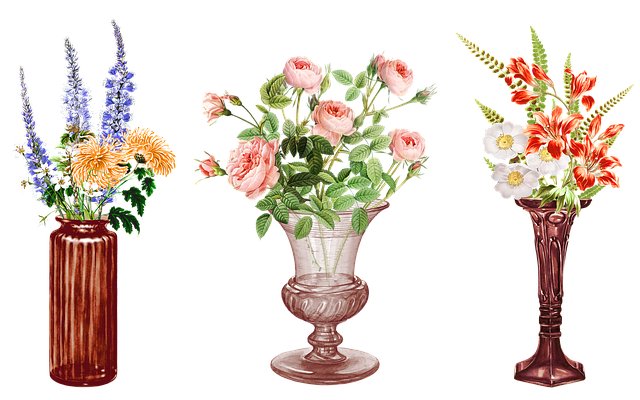 Rachel Nelson tweet media