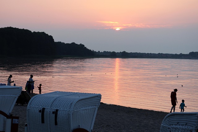 Stephanie Rojas tweet media