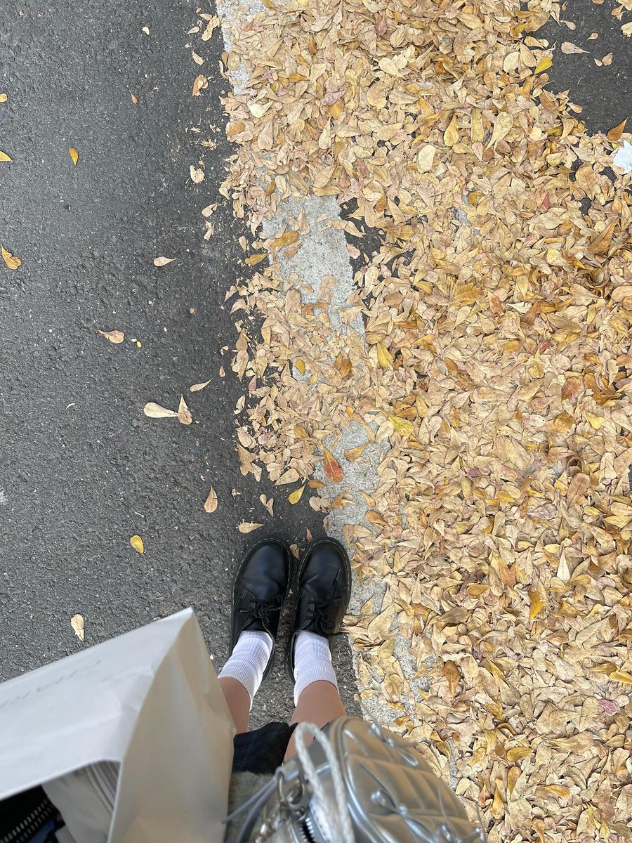 貓貓蟲~ tweet media