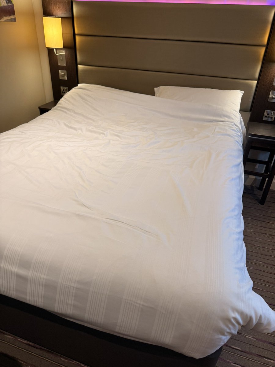 thecatsmother tweet media