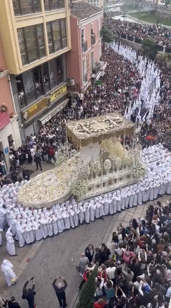 Antonia da Rho tweet media