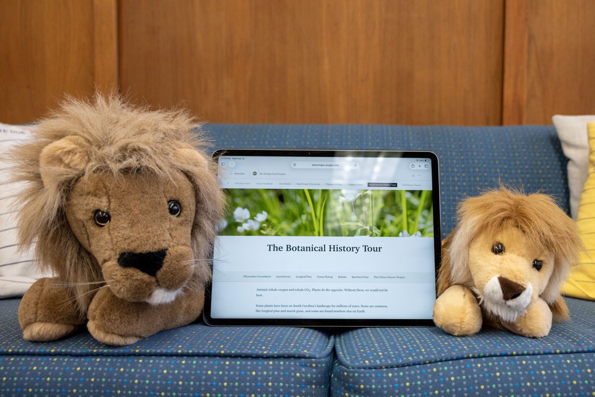 SC State Library tweet media