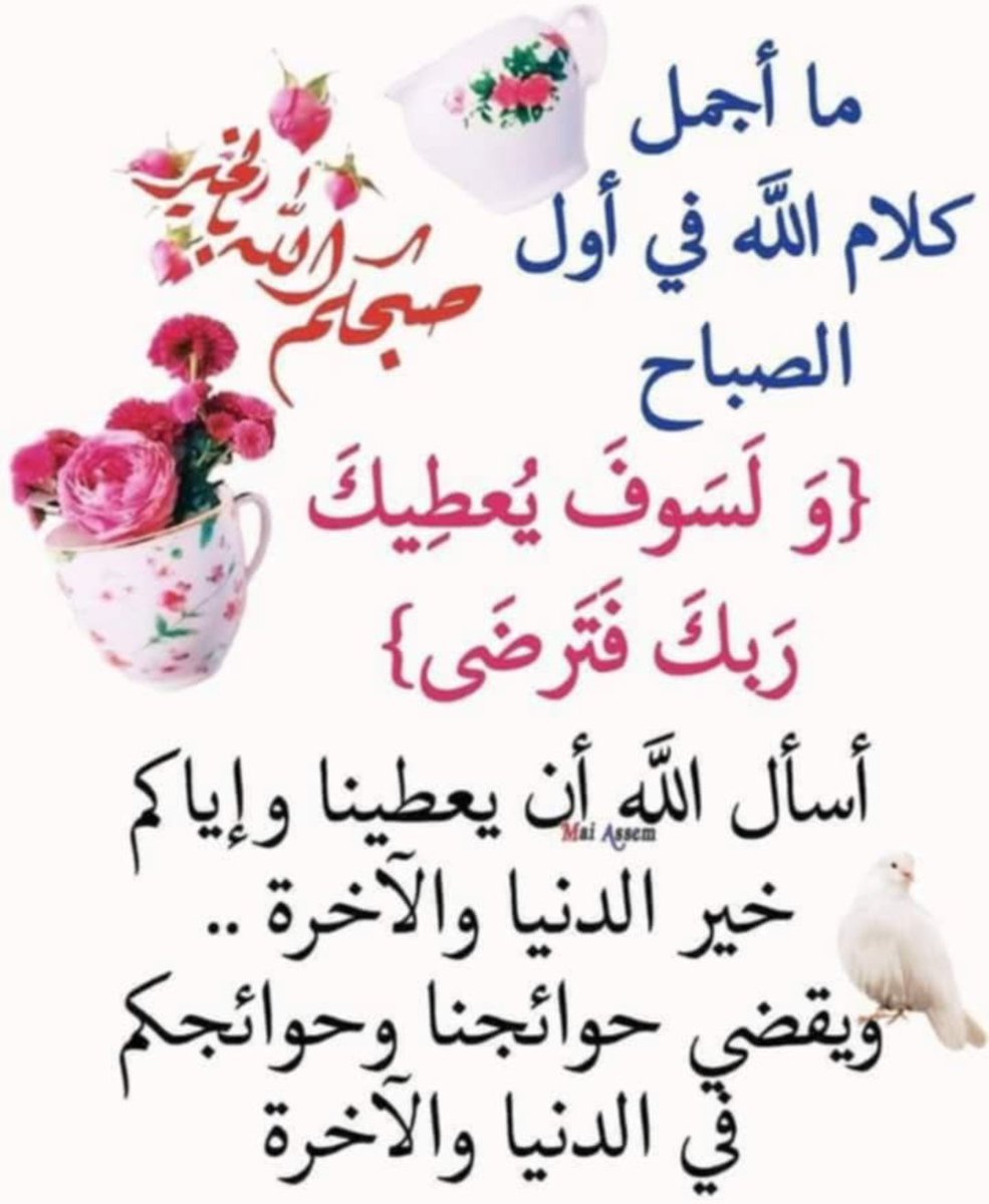 محمدالقرني أبو فيصل tweet media