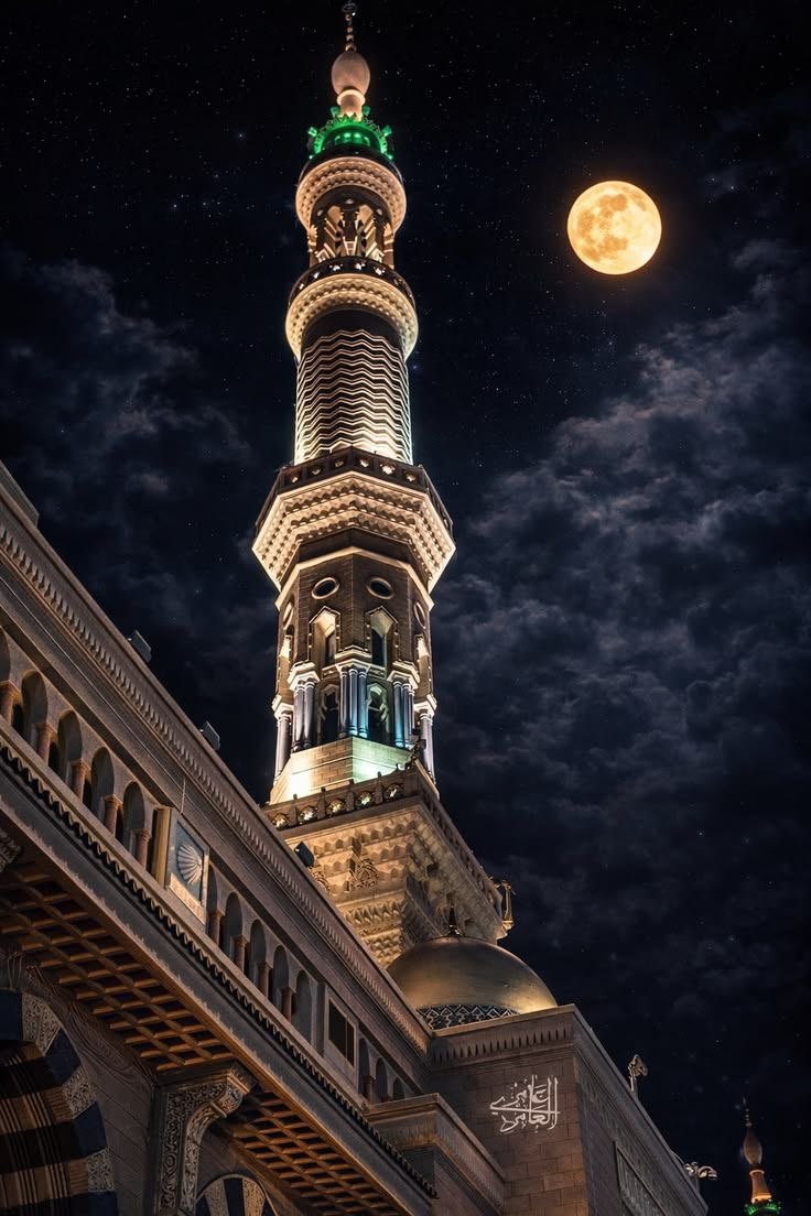 ام هلا tweet media