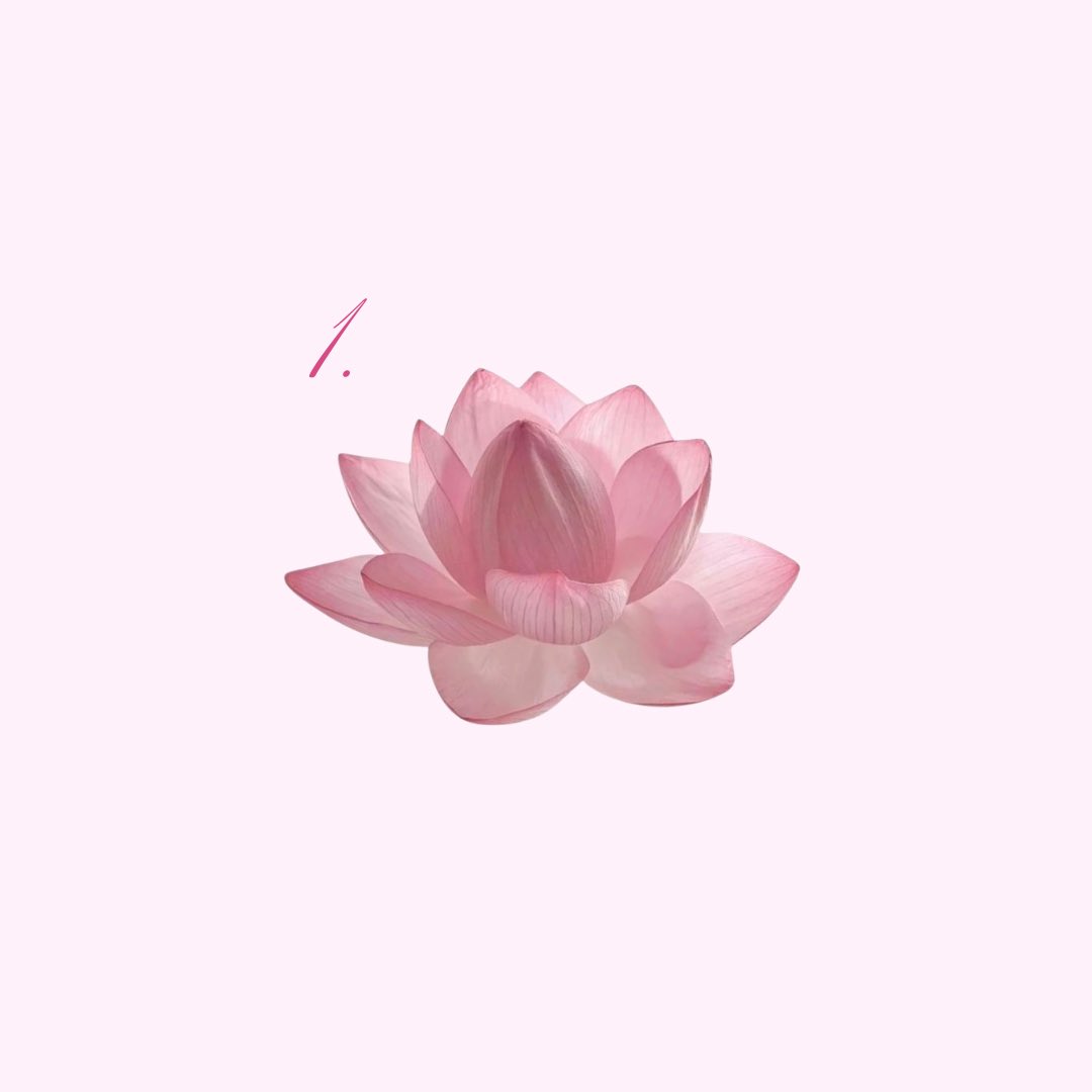 Coral ͏✶ Agenda Aberta tweet media