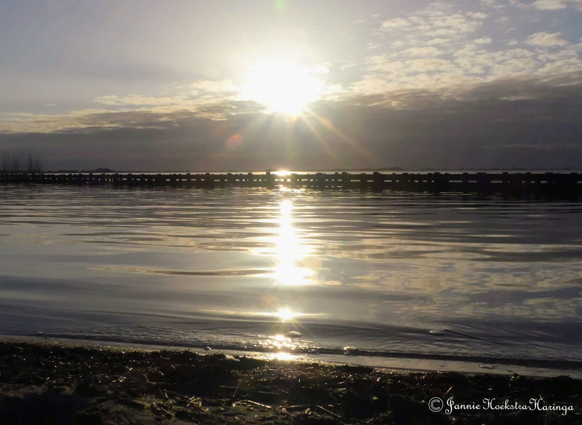 Jannie Hoekstra-Haringa tweet media