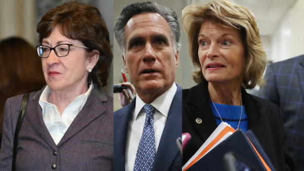 America First Party 🇺🇸 tweet media