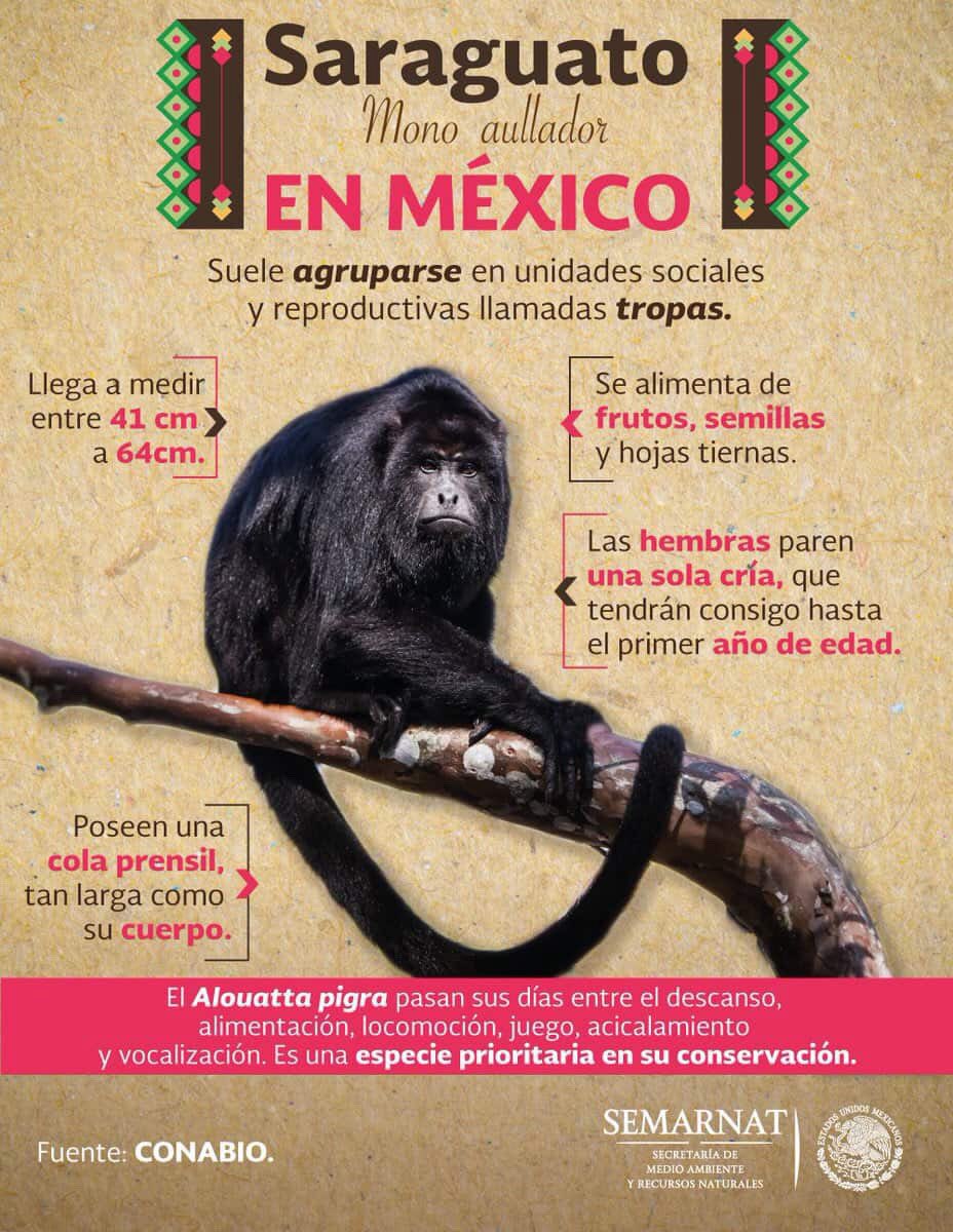 misael.rbn tweet media