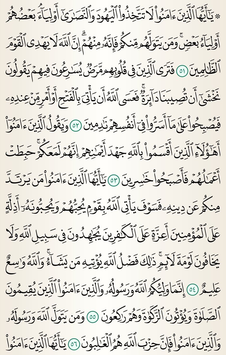 محمد الفرح tweet media