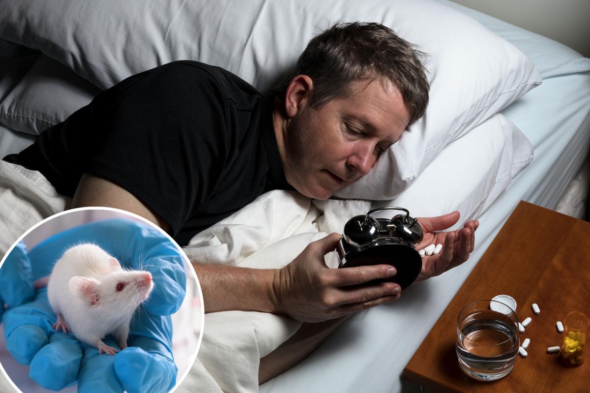 New York Post tweet media