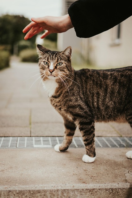 Mat Byrd tweet media