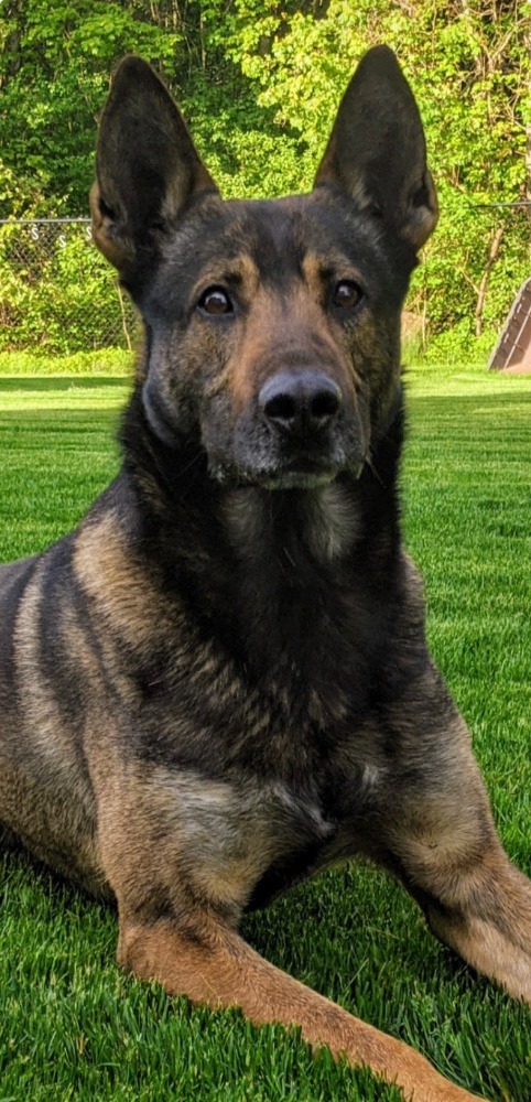 Massachusetts State Police tweet media